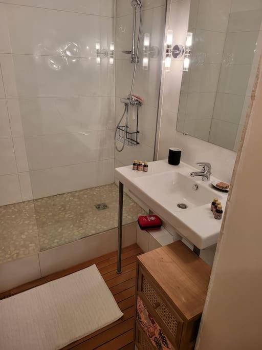 Appartement Luxe "La Providence" , Plein Centre فيشي المظهر الخارجي الصورة
