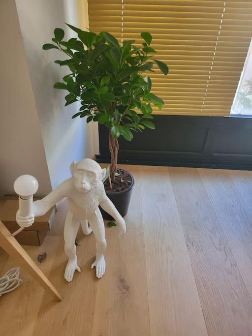 Appartement Luxe "La Providence" , Plein Centre فيشي المظهر الخارجي الصورة