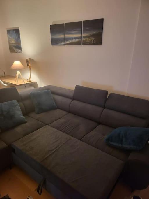 Appartement Luxe "La Providence" , Plein Centre فيشي المظهر الخارجي الصورة