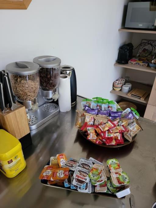 Appartement Luxe "La Providence" , Plein Centre فيشي المظهر الخارجي الصورة