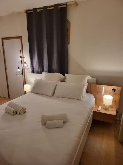 Appartement Luxe "La Providence" , Plein Centre فيشي المظهر الخارجي الصورة